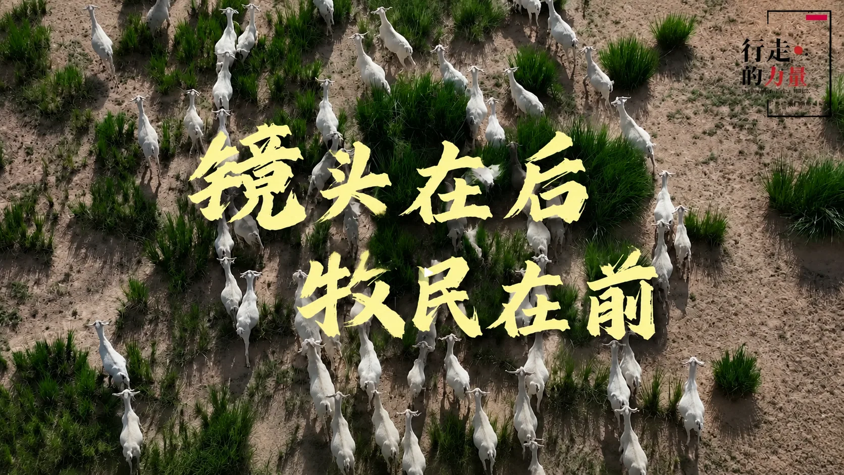 《行走的力量丨镜头在后,牧民在前》